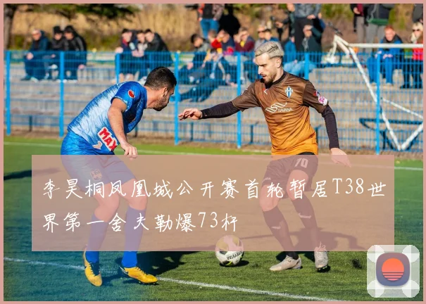 李昊桐凤凰城公开赛首轮暂居T38世界第一舍夫勒爆73杆