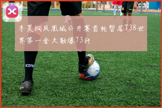 李昊桐凤凰城公开赛首轮暂居T38世界第一舍夫勒爆73杆