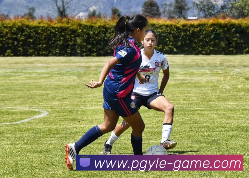 pg娱乐(PG YULE)官方授权资讯服务中心平台生态图